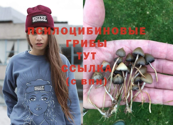 скорость mdpv Верея